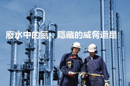 廢水中的氮：隱藏的威脅還是未來的希望？